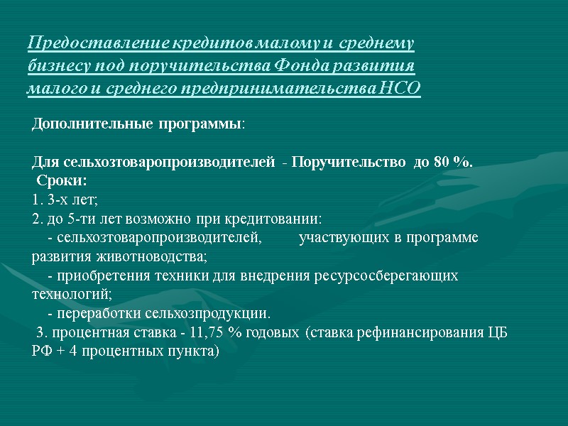Предоставление кредитов малому и среднему бизнесу под поручительства Фонда развития малого и среднего предпринимательства
